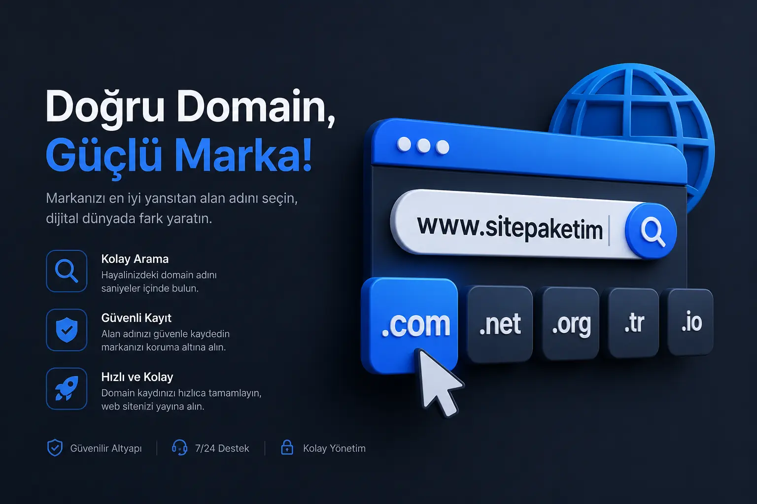 Domain Sorgula